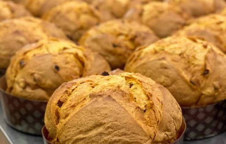 Pour Massimo Ferrante, Champion du monde de panettone 2019, le niveau en France est bon 