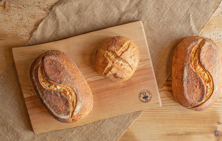 Adriano Farano, fondateur de Pane Vivo, lance Casa, l’ abonnement pour recevoir son pain partout en France