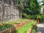 Slow Food et l'Ambassade d'Italie rendent hommage à Léonard de Vinci par la création d'un jardin potager