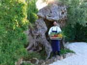 Les vendanges italiennes avec les hôtels Rocco Forte