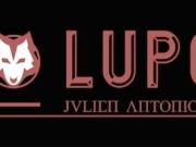 Avec Lupo, Julien Antoniolli s'apprête à régaler Pau de sa pizza gourmet