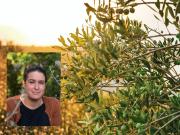 Huiles d'olive d'Italie : DOP et IGP pour la garantie