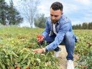 Pizza Cosy réussit le défi du sourcing français pour élaborer sa nouvelle carte