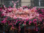 Gennaro Nasti lance La Brasserie Italienne by Nasti