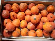 Atypique, grossiste leader de la vente de fruits et légumes français déclassés boucle une levée de fonds