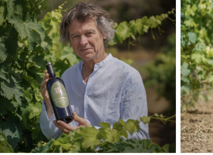 La Casa della Vigna, dernier joyau de la Collection by Guy Martin