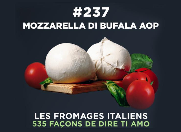 Le fromage italien, un allié savoureux pour une alimentation saine et équilibrée