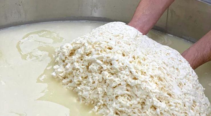 Gilberto D'Annunzio et la mozzarella du Nord de la France
