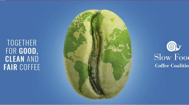 Slow Food Coffee Coalition : la communauté intérnationale du café
