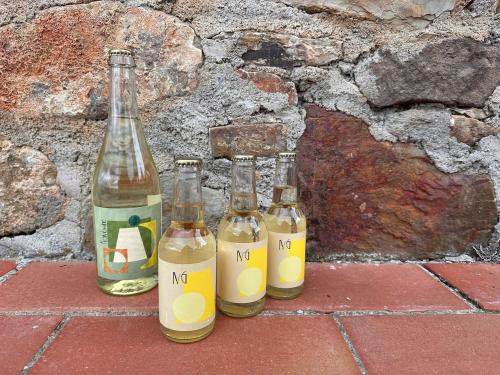 KOMBINE, ni vin ni kombucha, boisson pétillante alternative