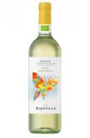 Nouveaux vins bio par Carniato