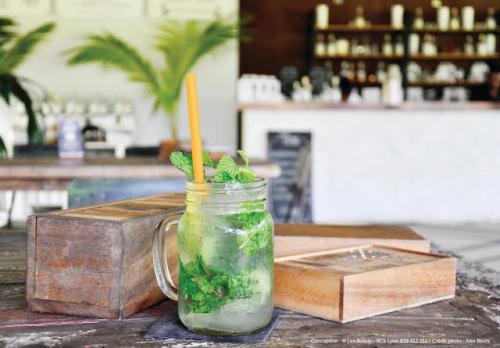 Panza Paille par Panzani