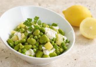 Salade Verde e Limone