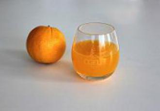 Cocktail Citrus
